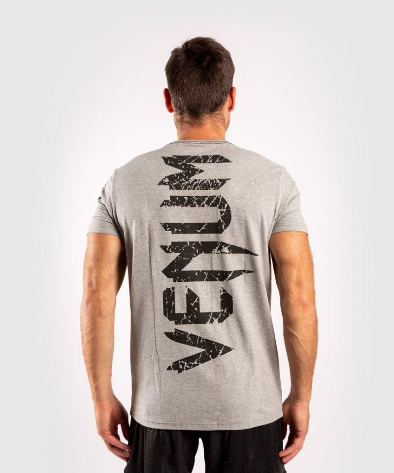 T Shirts Venum Giant Homme Grise Noir  | KYY-6013459