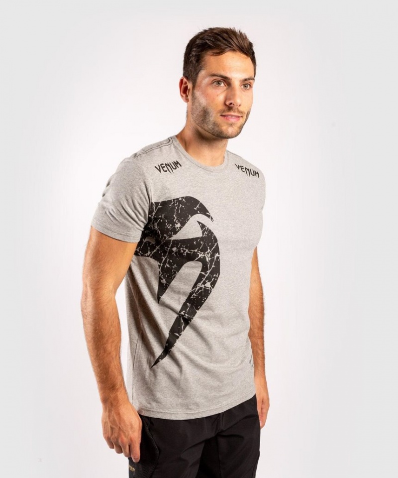 T Shirts Venum Giant Homme Grise Noir  | KYY-6013459