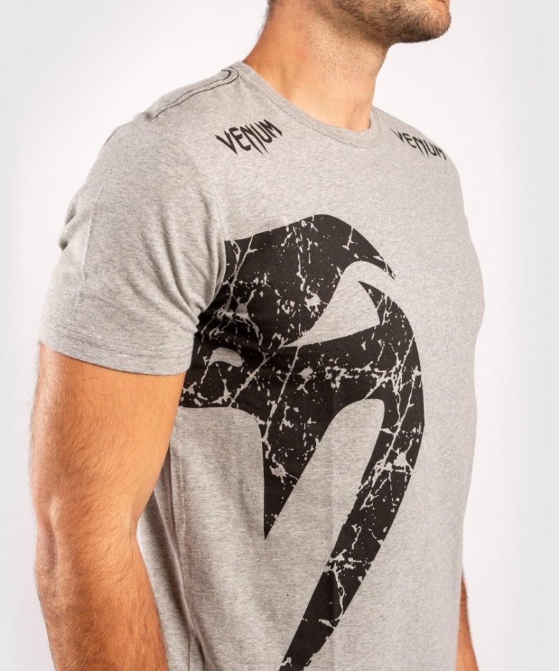 T Shirts Venum Giant Homme Grise Noir  | KYY-6013459