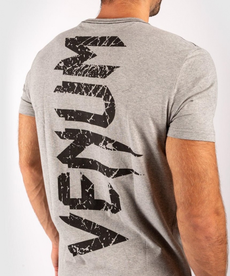 T Shirts Venum Giant Homme Grise Noir  | KYY-6013459