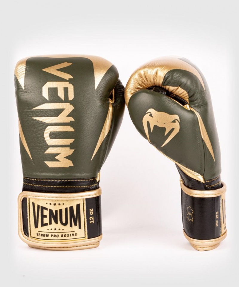 Gants De Boxe Venum Hammer Pro Velcro Kaki Doré  | XGI-1014467