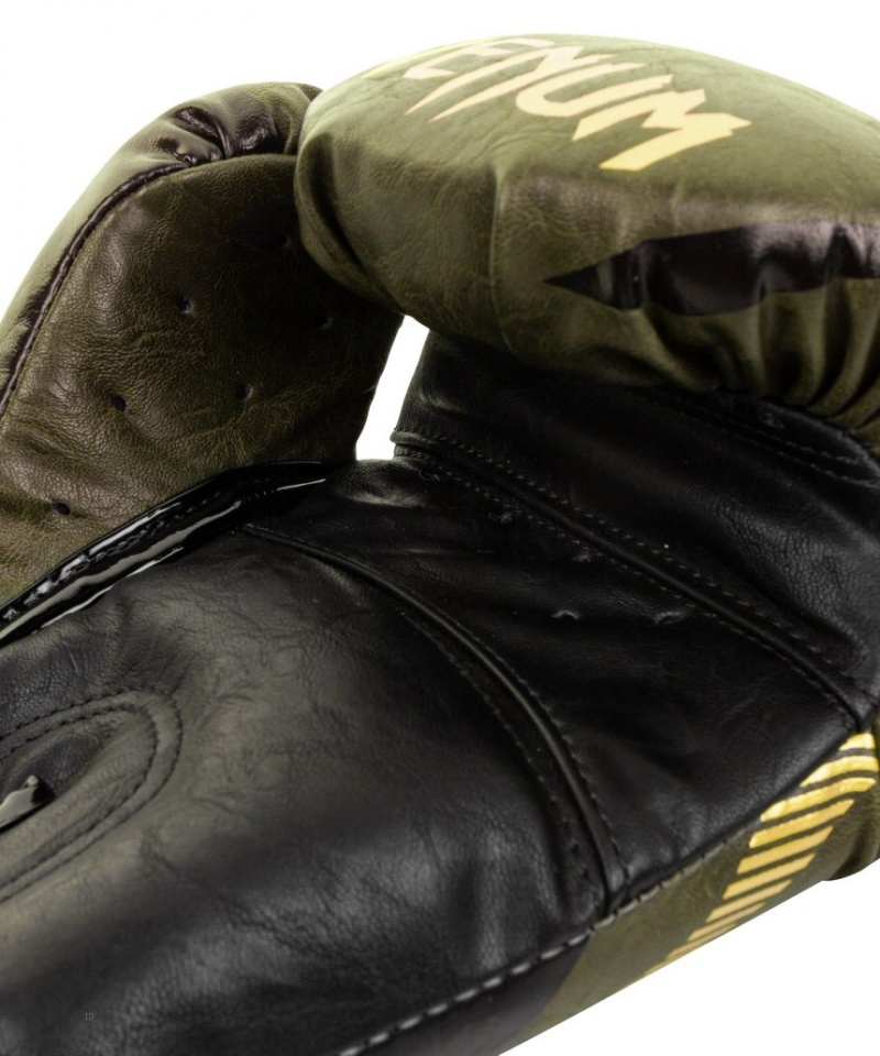 Gants De Boxe Venum Impact Kaki Doré  | QSG-1538953