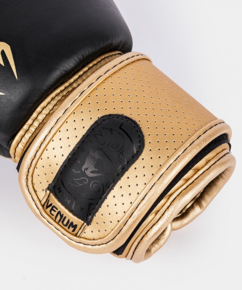 Gants De Boxe Venum Power 2.0 Noir Doré  | VBT-4804242