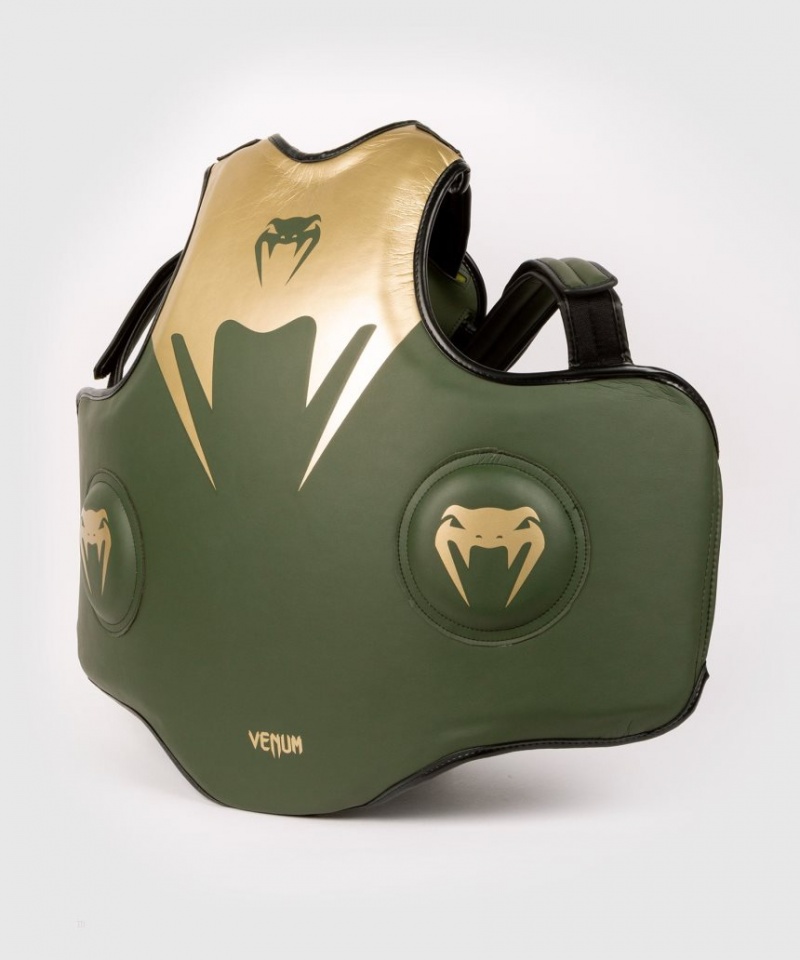 Protection Corporelle Venum Pro Boxing Kaki Doré  | VKA-5171812