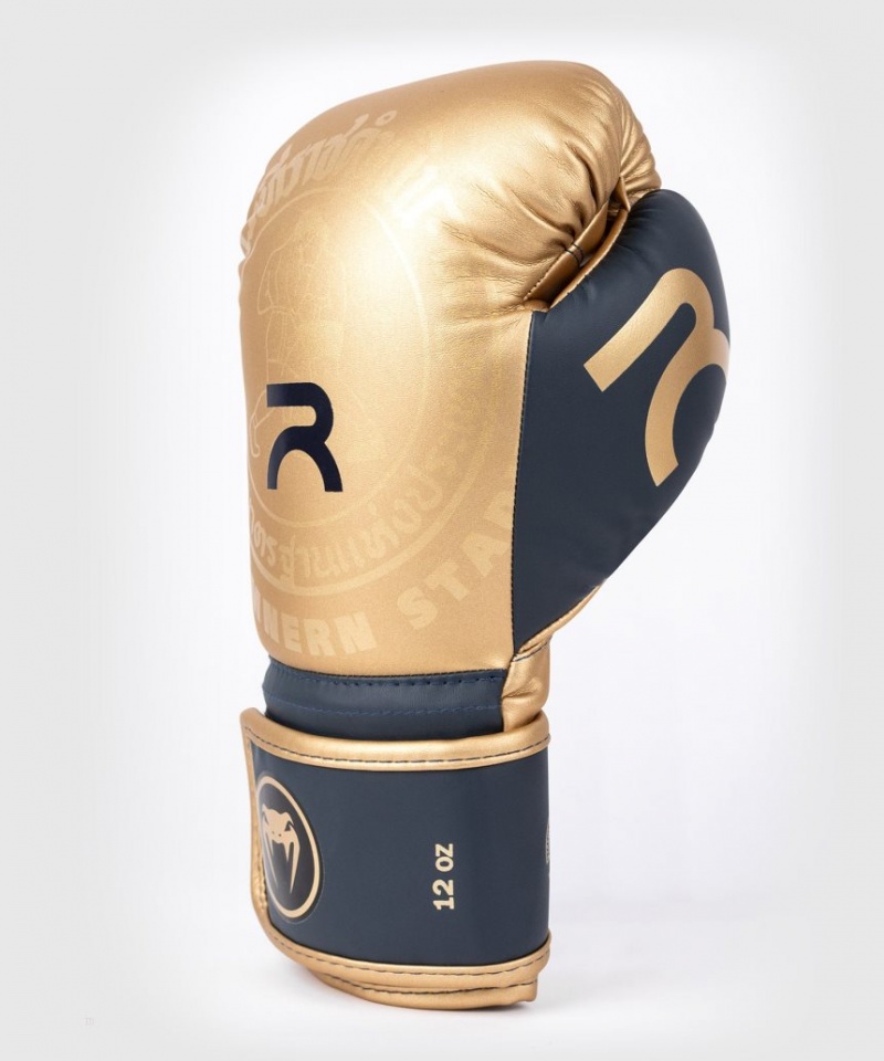 Gants De Boxe Venum RAJADAMNERN x Venum Marron  | MUR-7942479