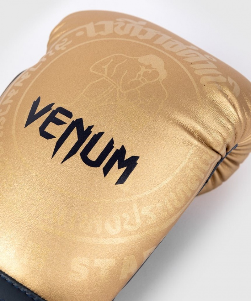 Gants De Boxe Venum RAJADAMNERN x Venum Marron  | MUR-7942479