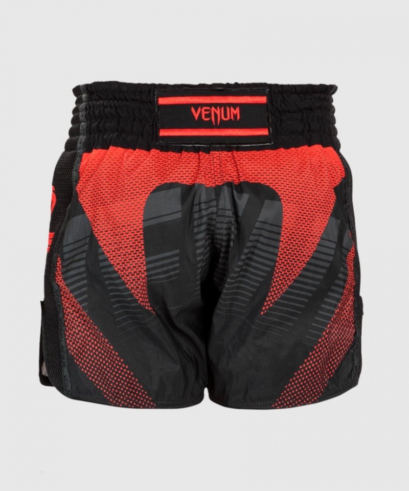 Short Venum RWS x Venum Muay Thai Boxing Homme Noir  | FQK-2804584