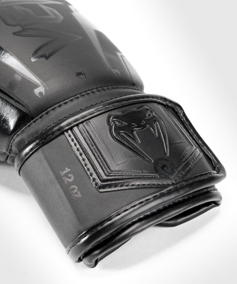 Gants De Boxe Venum Boxing Gloves Elite Evo Venum Noir  | AXH-2016377