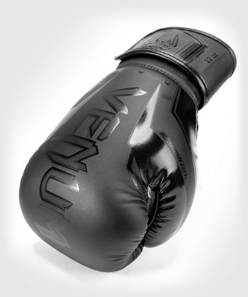 Gants De Boxe Venum Boxing Gloves Elite Evo Venum Noir  | AXH-2016377