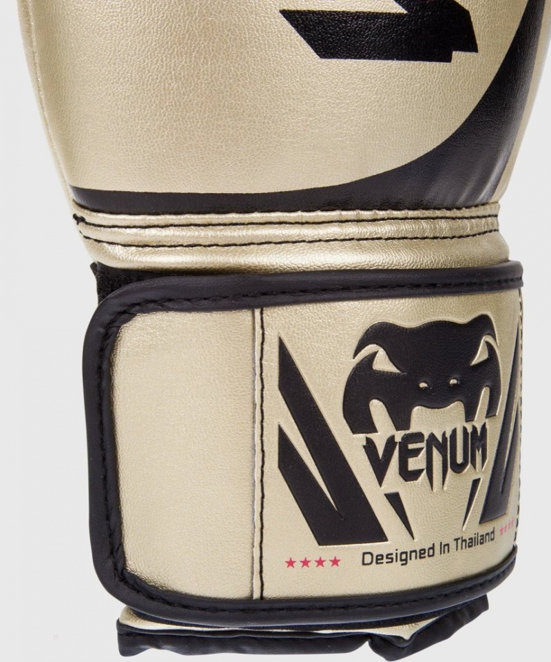 Gants De Boxe Venum Challenger 2.0 Doré  | PSU-9741001