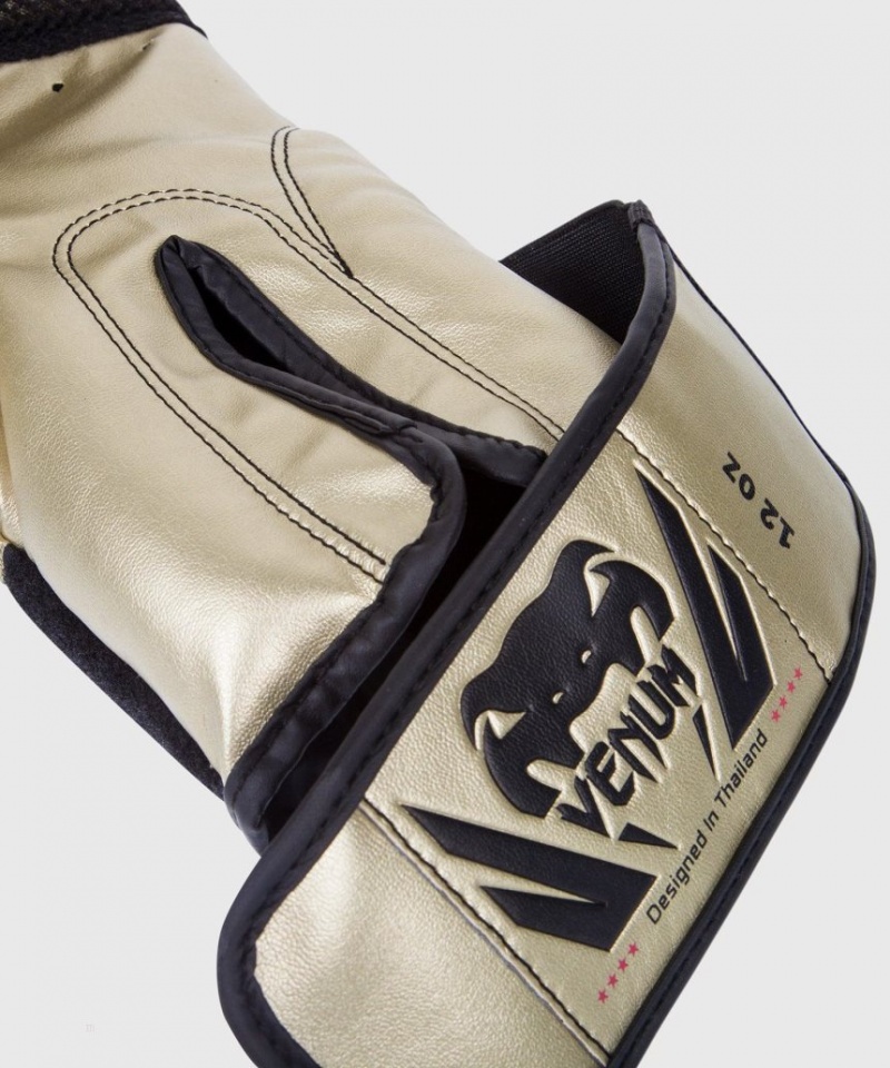 Gants De Boxe Venum Challenger 2.0 Doré  | PSU-9741001