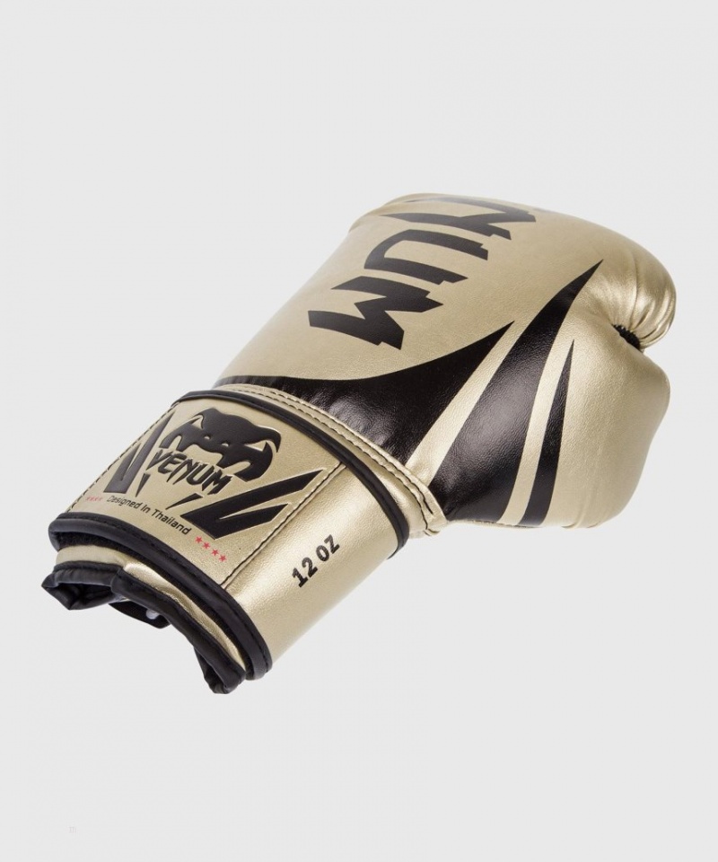 Gants De Boxe Venum Challenger 2.0 Doré  | PSU-9741001