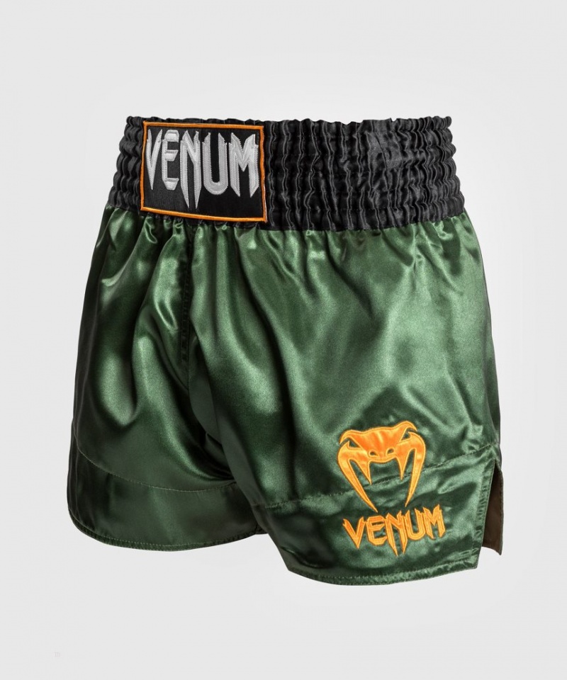 Short Venum Classiche Muay Tha? Femme Vert Noir Doré  | GVT-0565494