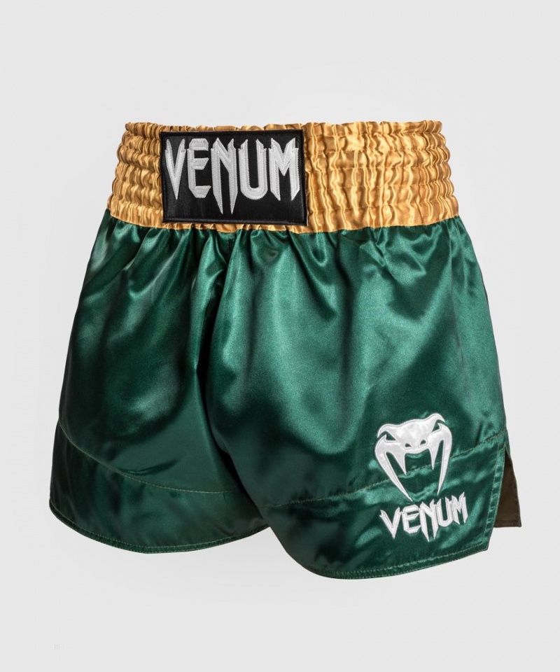 Short Venum Classiche Muay Thai Boxing Homme Vert Doré Blanche  | WDV-7524672