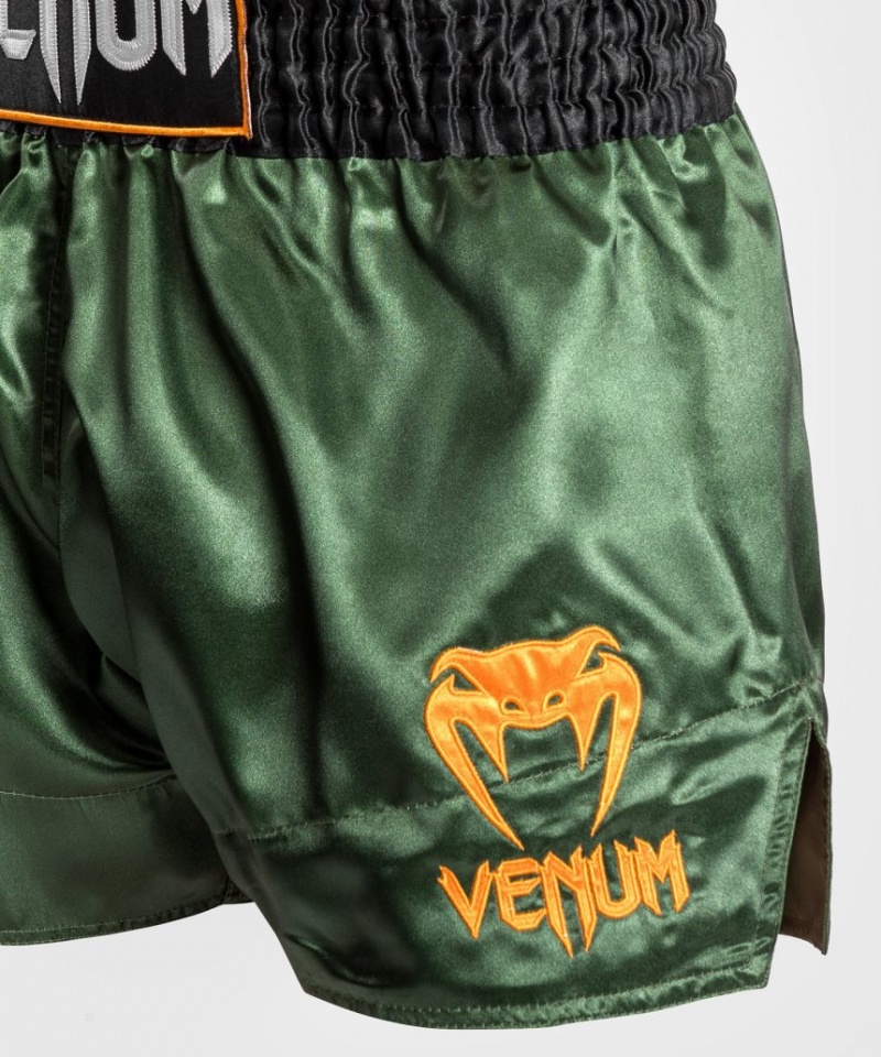 Short Venum Classiche Muay Tha? Femme Vert Noir Doré  | GVT-0565494