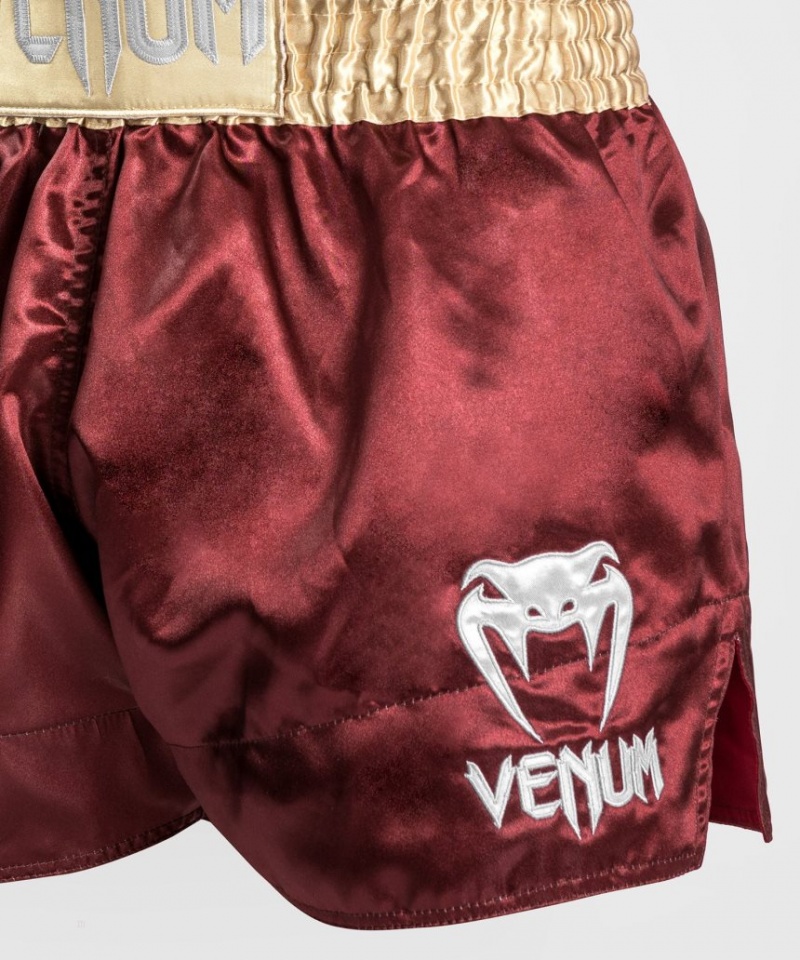 Short Venum Classiche Muay Thai Boxing Homme Bordeaux Doré Blanche  | MEK-5974406