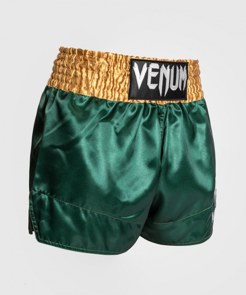 Short Venum Classiche Muay Thai Boxing Homme Vert Doré Blanche  | WDV-7524672