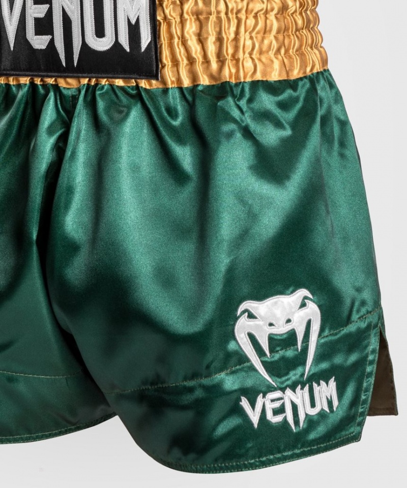 Short Venum Classiche Muay Thai Boxing Homme Vert Doré Blanche  | WDV-7524672