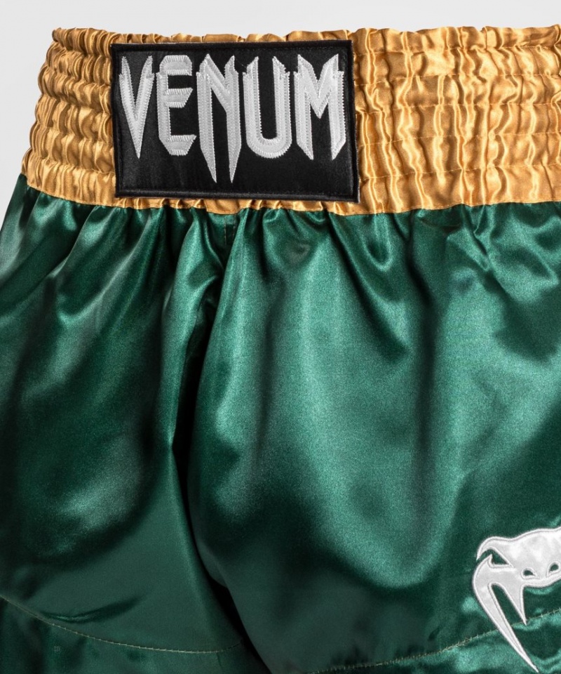 Short Venum Classiche Muay Thai Boxing Homme Vert Doré Blanche  | WDV-7524672