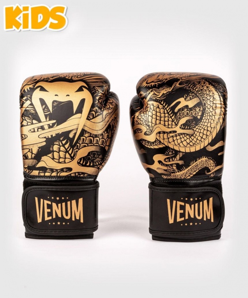 Gants De Boxe Venum Dragon's Flight For Kids Noir Marron  | STV-3566593