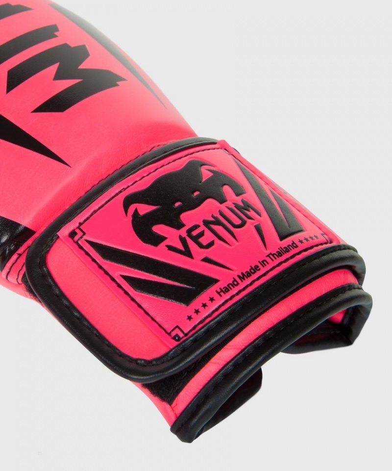 Gants De Boxe Venum Elite Rose  | VKZ-4425040