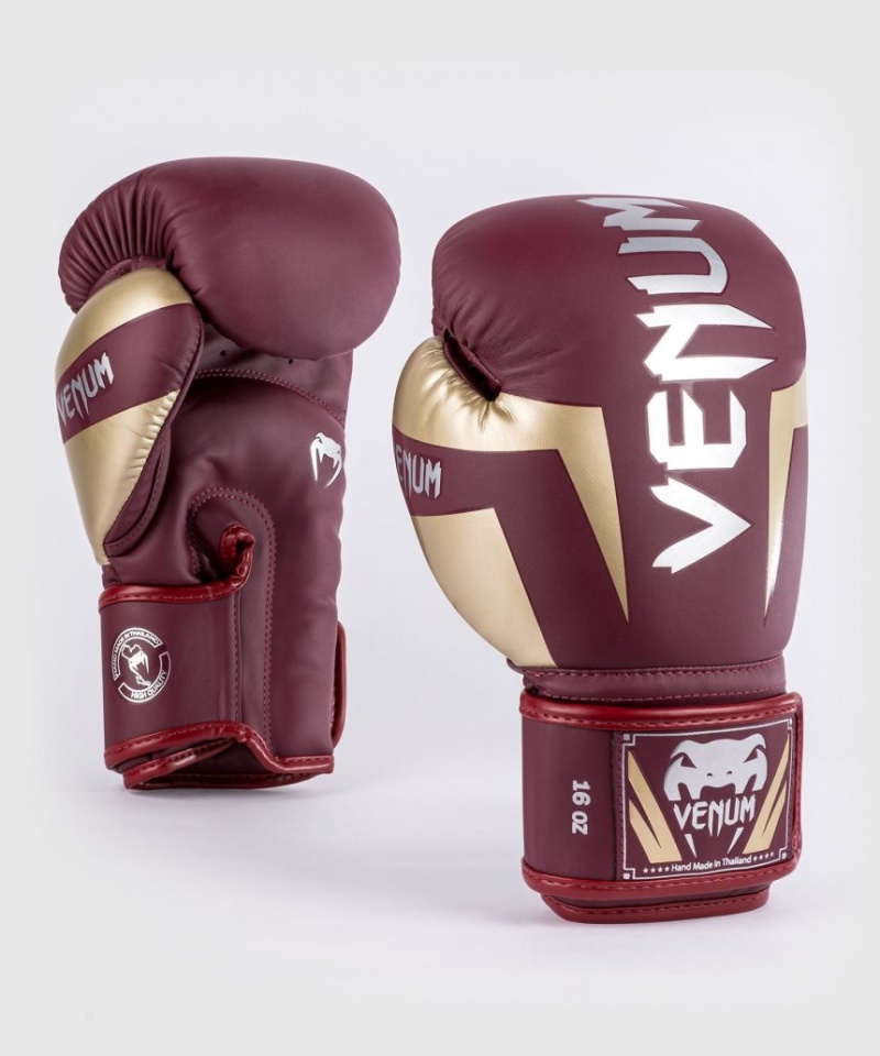 Gants De Boxe Venum Elite Bordeaux Doré  | AGE-4294687