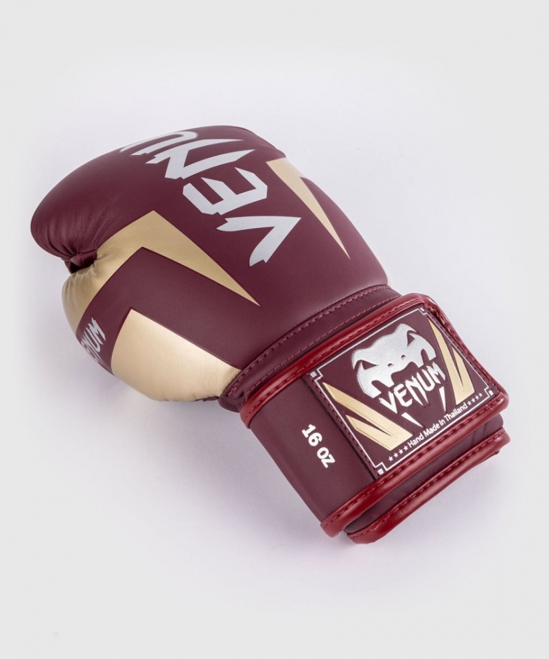 Gants De Boxe Venum Elite Bordeaux Doré  | SGB-2475735