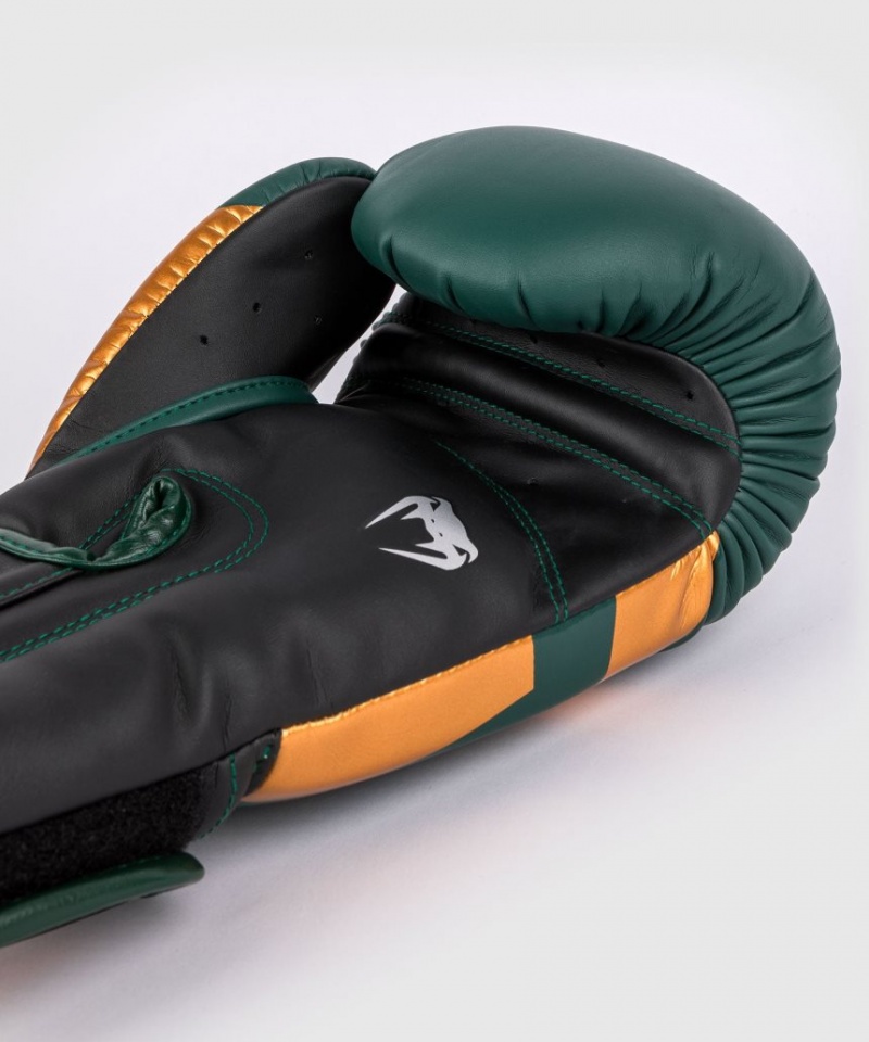 Gants De Boxe Venum Elite Vert Marron Argent  | SWD-6167316