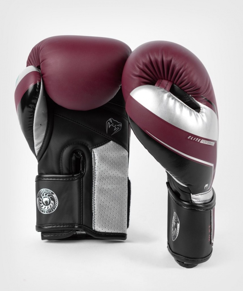 Gants De Boxe Venum Elite Evo Bordeaux Argent  | SSH-6209087