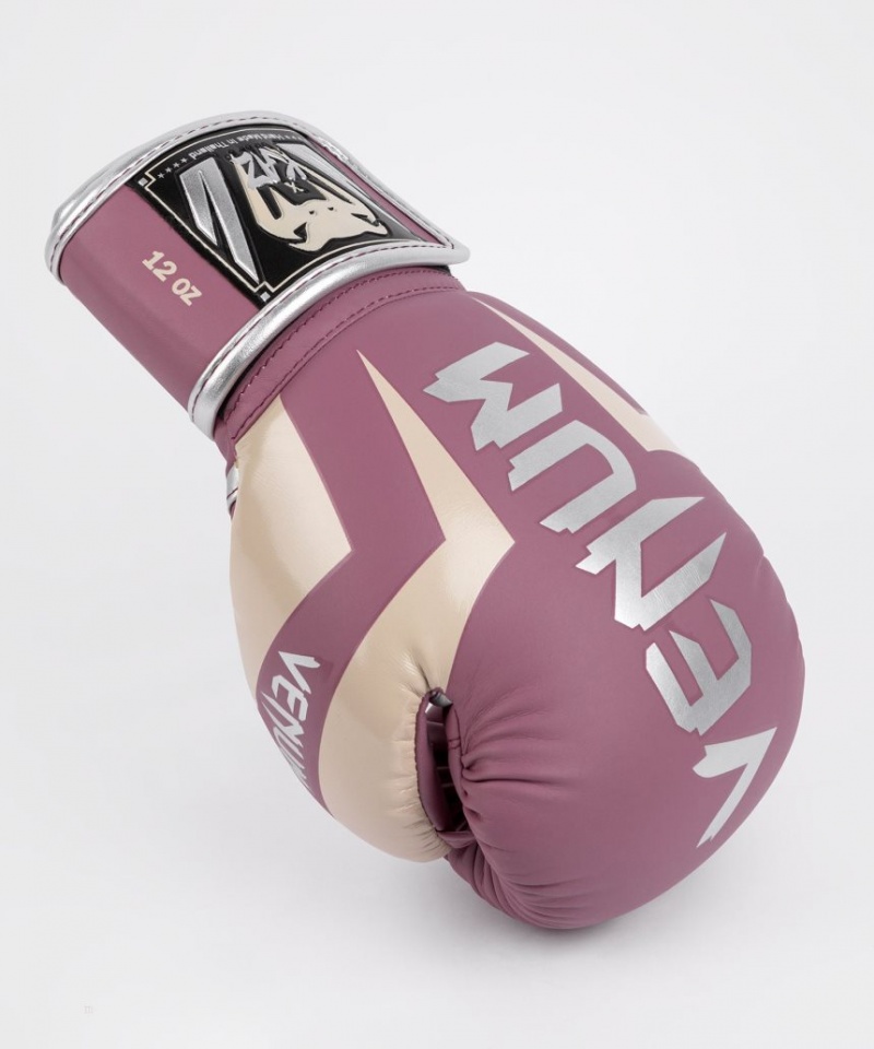 Gants De Boxe Venum x Kaz Elite Violette  | LEA-4709955